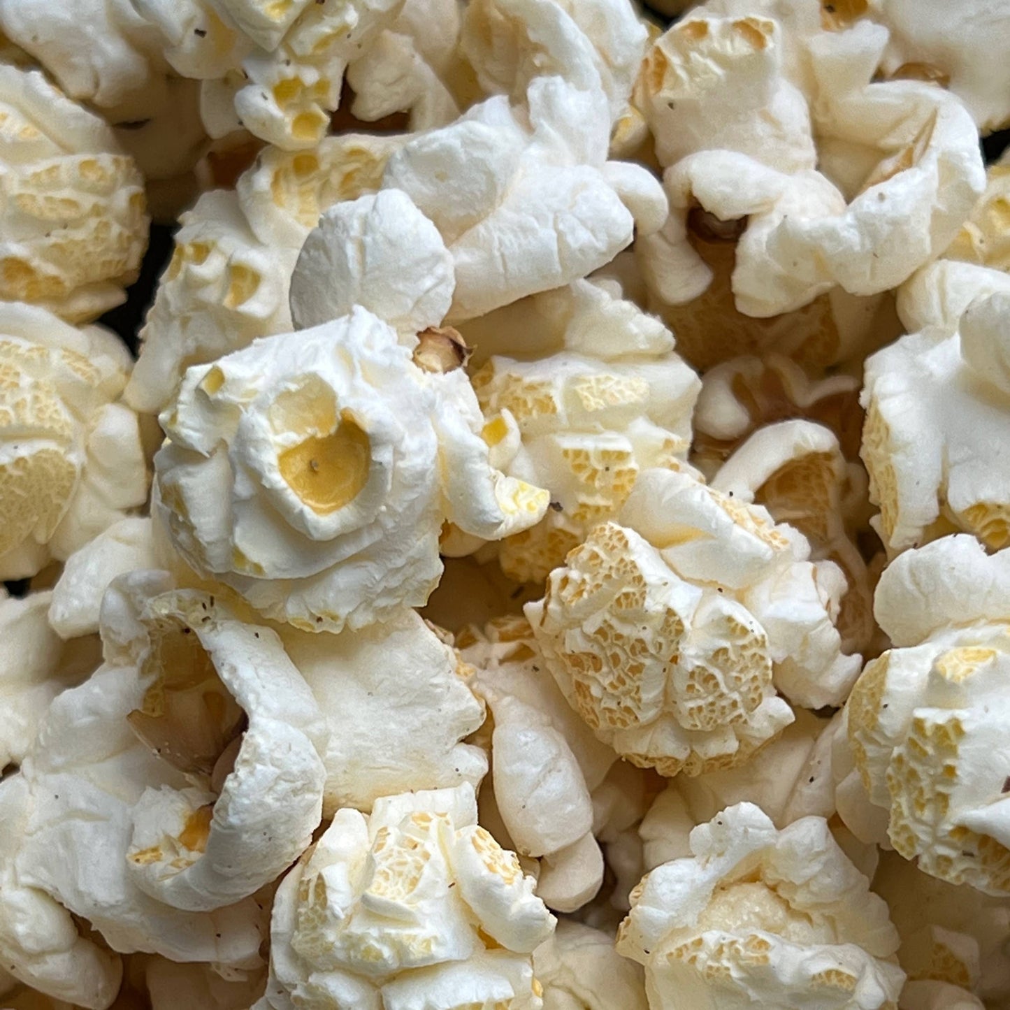 Rosemary Artisan Popcorn